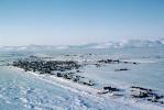 Nome Alaska in the Winter, skyline, buildings, homes, houses, snow, CNAV03P03_04