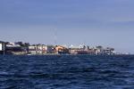 Monterey, California, March 2008, CNCD01_143