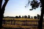 Lakeville, Sonoma County, Fence, CNCD01_171