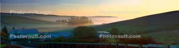 Early Morning Fog in the Valley, Two-Rock, Sonoma County, Panorama, CNCD01_212