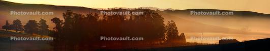 Early Morning Fog in the Valley, Two-Rock, Sonoma County, Panorama