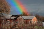 Shed, Building, Rainbow, fence, CNCD01_226