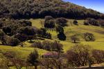Sonoma County Hills, trees, CNCD01_234