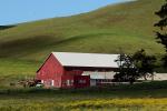 Barn, Building, Hills, Marin County