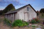 Shed, Two-Rock, Sonoma County, CNCD01_244