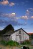 Shed, Two-Rock, Sonoma County, CNCD01_245