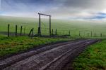 Road, Gate, Fence, Fields, Two-Rock, Sonoma County, CNCD01_291