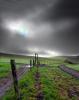 Road, Gate, Fence, Fields, Two-Rock, Sonoma County, CNCD01_294