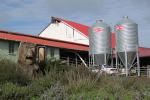 Dairy, Silo, Barn, Two-Rock, Sonoma County, CNCD01_298