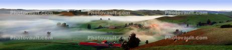 Trees, Buildings, Fog, Morning, Two-Rock, Sonoma County, Panorama, CNCD02_005