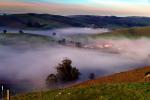 Trees, Buildings, Fog, Morning, Two-Rock, Sonoma County, Panorama, CNCD02_006