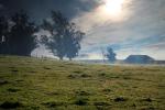 Trees, Buildings, Fog, Morning, Two-Rock, Sonoma County, Panorama, CNCD02_007