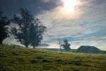 Trees, Buildings, Fog, Morning, Two-Rock, Sonoma County, Panorama, CNCD02_008