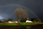 Rainbow, Bare Tree, Winter, Bloomfield, Valley Ford Road, Sonoma County