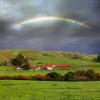 Buildings, Fields, Trees, Rainbow, Dairy, Petaluma, Sonoma County, CNCD02_015