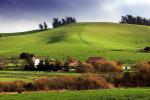 Buildings, Fields, Trees, Dairy, Two-Rock, Sonoma County, CNCD02_016