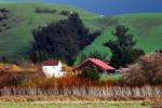 Barn, Home, House, Two-Rock, Sonoma County, CNCD02_021