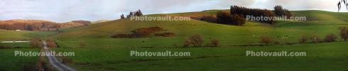 Road, Fields, Two-Rock, Hills, Sunset, Panorama, CNCD02_022