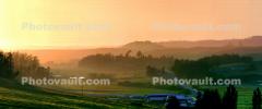 Lazy Afternoon Light over Bloomfield Valley, Sonoma County