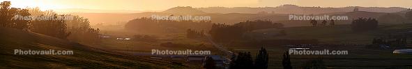 Sonoma County, Panorama, Evening in Bloomfield Valley, CNCD02_085