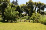 Fence, Lawn, Trees, Russian River, Sonoma County, Guerneville