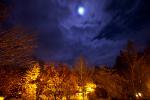 Moon over Downtown Occidental, Bohemian Highway, night, nighttime, trees