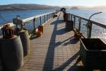 Pier, Dock, Nicks Cove, Marin County, California, Tomales Bay, CNCD03_105