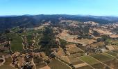 farmfields, vineyards, Windsor, Sonoma County, CNCD03_150