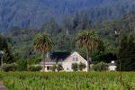 Dry Creek Valley, Sonoma County, forest, trees, house, home, vineyard, CNCD03_249