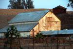Barn, building, Lakeville, Sonoma County