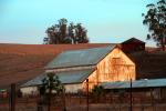 Barn, building, Lakeville, Sonoma County, CNCD03_285