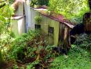 abandoned house, building, jungle, ivy, CNCD04_022