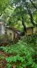 abandoned house, building, jungle, ivy