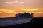 Early Morning Sunrise, sunsight, clouds, fog, Hills, CNCD04_085