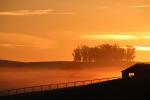 Early Morning Sunrise, sunsight, clouds, fog, Hills, barn, CNCD04_092