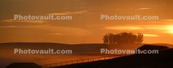 Early Morning Sunrise, sunsight, clouds, fog, Hills, barn, CNCD04_098
