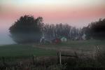 Early Morning Fog, CNCD04_190