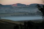 Early Morning Fog, CNCD04_195