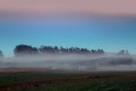 Early Morning Fog over Two-Rock Valley, Sonoma County