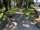 Willits Rodeo Grounds, walkway, path, shadow, trees