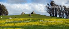 The Two Rocks of Two-Rock, Sonoma County, CNCD06_082