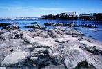 Rocks at Old Fishermans Wharf, Monterey, CNCV01P10_14