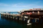 Old Fishermans Wharf, Monterey, CNCV01P11_02