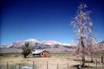 Eastern Sierra-Nevada Mountain Range, CNCV02P04_14