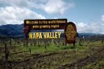 Welcome to this world famous wine growing region, and the wine is bottled poetry, Napa Valley, 1963, 1960s, CNCV02P08_01