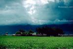 farm field, clouds, CNCV02P10_02.1731