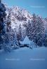 Yosemite Chapel, snow, tree, Ice, Icy, Winter, Historic Building, Landmark, CNCV02P12_13.1731
