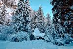 Yosemite Chapel, snow, tree, Ice, Icy, Winter, Historic Building, Landmark, CNCV02P12_14.1731