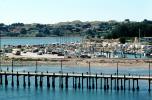 Harbor, Pier, Dock, Bodega Bay, Sonoma County, Coast, CNCV02P15_09