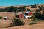 barn, silo, outdoors, outside, exterior, rural, building, shed, Tomales, Marin County